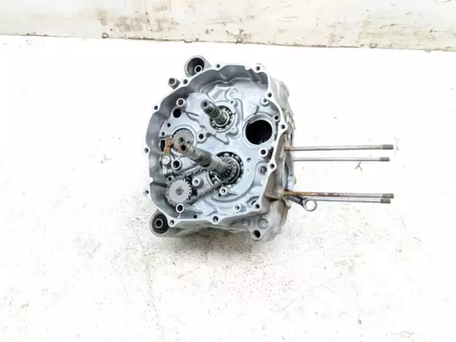 07 Honda Sportrax TRX250EX Motor Schutzhülle Block