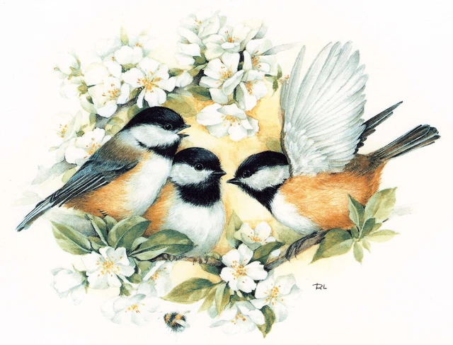 Calcomanías de cerámica tobogán acuático Chickadee Birds Select-A-Size Tx
