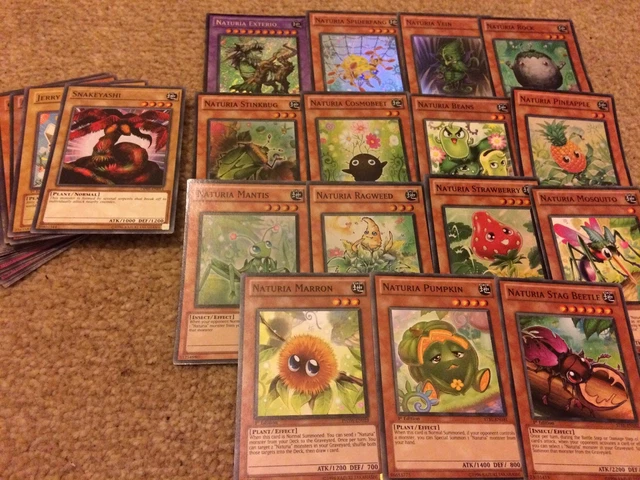 zayn malik yugioh deck Yugioh Orica