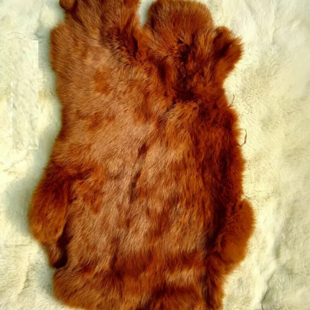 1x Caramel Real Rabbit Skin Pelt Animal Fur Hide Craft Handbags Grade Fly Tying 1x Caramel Real Rabbit Skin Pelt Animal Fur Hide Craft Handbags Grade Fly Tying