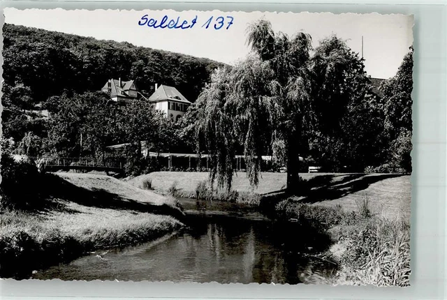 39817863 - 3202 bath Salzdetfurth the lamb flows through the spa park