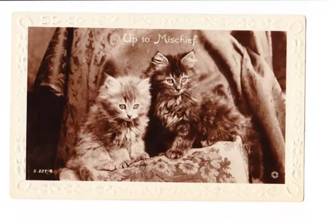 1924 ANTIQUE POSTCARD Up To Mischief Cats / Kittens ( Real Photo Card )