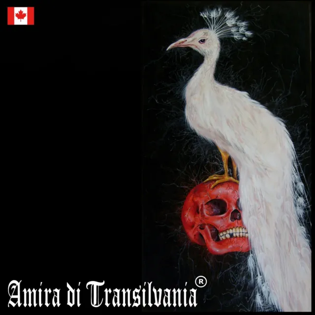 art painting contemporary modern decorative animal bird white peacock red skull