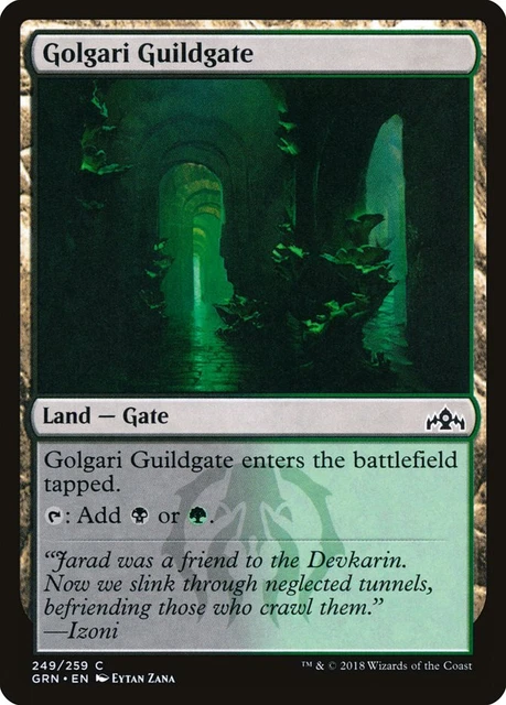 Golgari Guildgate 2x FOIL RTR MTG Return to Ravnica Common MINT black green land