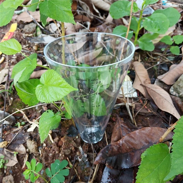 Pluviomètre Conique Transparent 0-50 Mm - Pour Jardin, Extérieur, Mesure Précise Des Précipitations