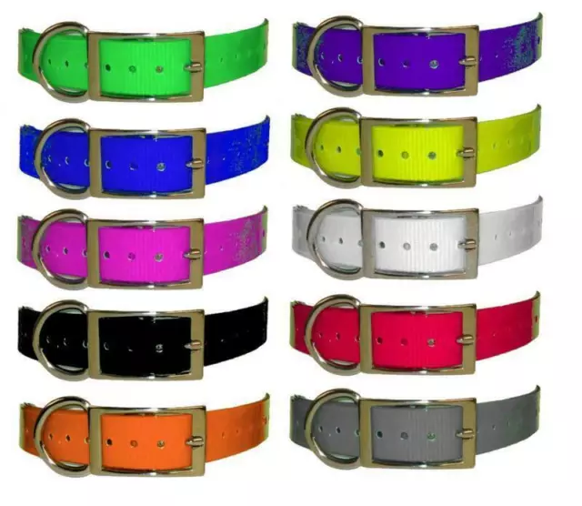 SportDog Compatible Universal Replacement Collar strap 1" for Remote Trainers
