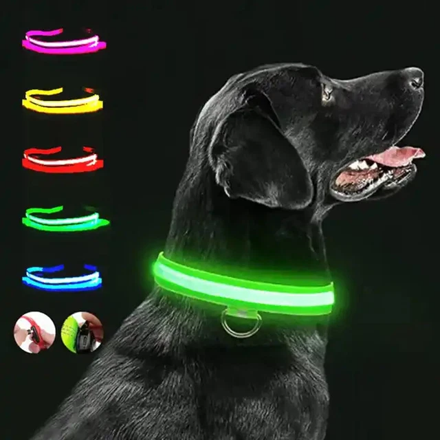 Light Up Dog Collar LED Flashing Illuminated USB Rechargeable Pet Safety Lights