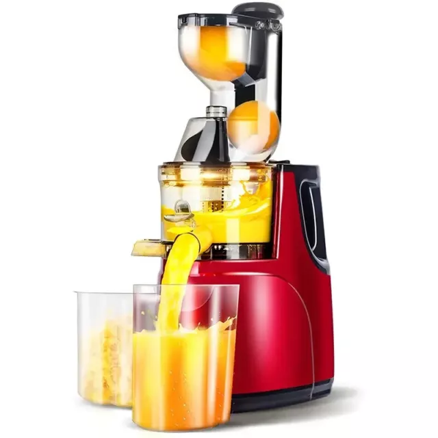 Slow Masticating Juicer Cold Press Juice Extractor Apple Orange Citrus Juicer