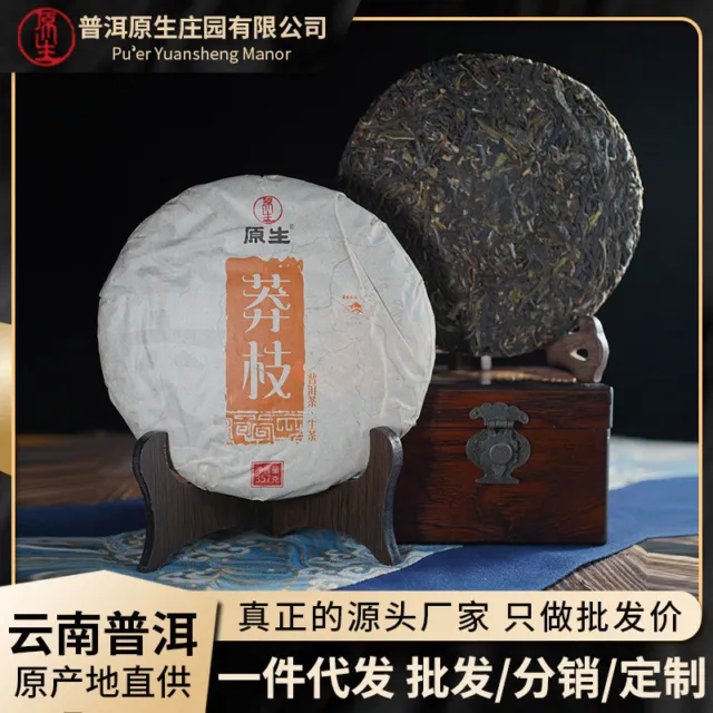 100% Reines Puerh Mangzhi Tee Berg Reines Material 357g Pu Erh Roher Tee Kuchen