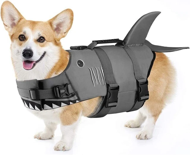 Chaleco salvavidas para perro chaleco flotante reflectante ajustable flotabilidad ayuda mascota Reino Unido