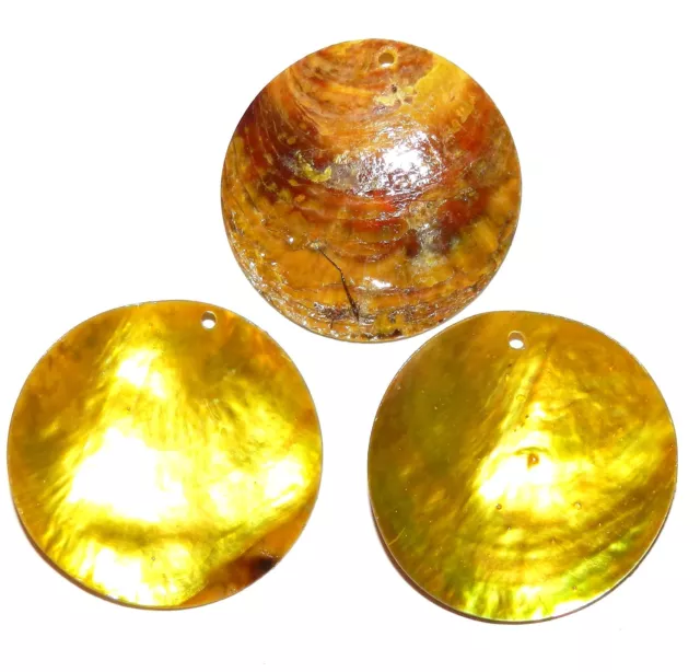 S430 Yellow 40mm Top-Drilled Round Coin Drop Mussel Shell Gemstone Beads 6pc