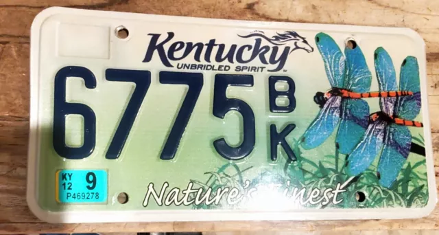 One of a Kind - Kentucky Nature's Finest License Plate - Dragonflies  6775 Tag