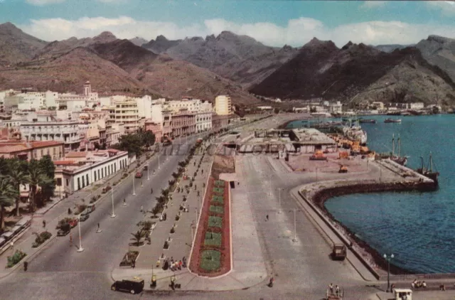 SPAIN - Canarias - Santa Cruz de Tenerife - Paseo de San Miguel