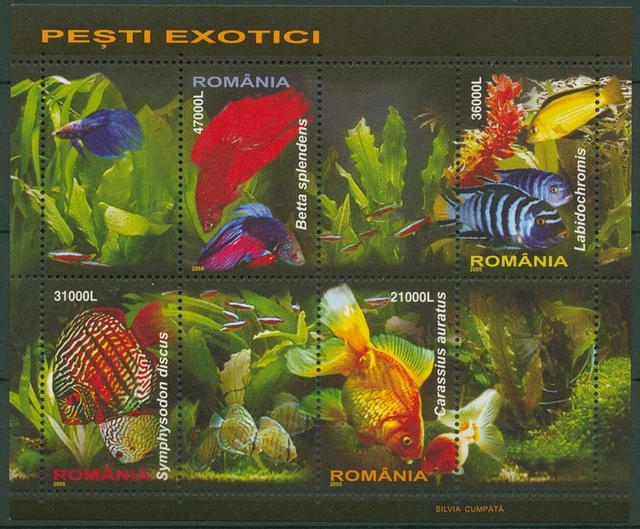 Rumänien 2005 Tiere Zierfische Block 351 postfrisch (C92192)