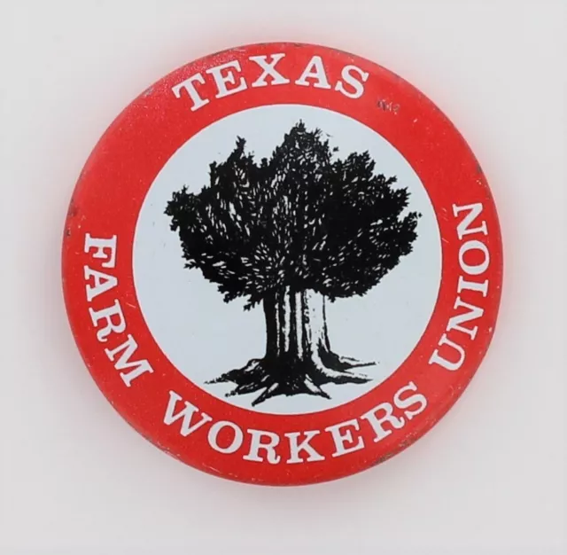Texas Farm Workers Union TFWU Rio Grande Valley Chicano Mexican Rights P1438