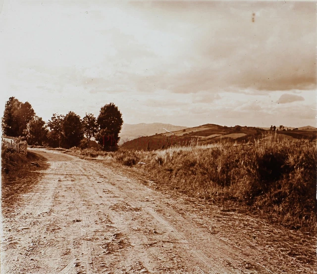 France Route Paysage Photo Stereo PL58L10n10 Plaque de verre c1920 