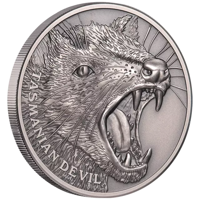 Silbermünze Tasmanischer Teufel (2.) Wildlife 2019 - Niue - 1 Oz Antik Finish