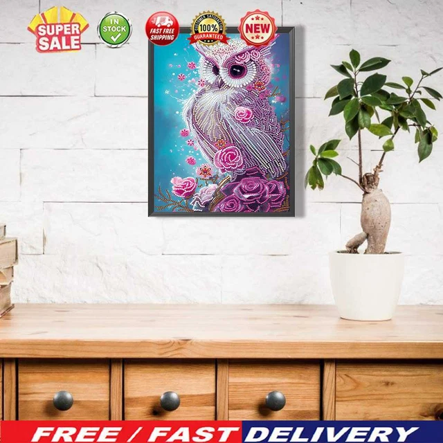 5D hágalo usted mismo taladro parcialmente moldeado especialmente juego de pintura de diamantes búho decoración del hogar (UP334)