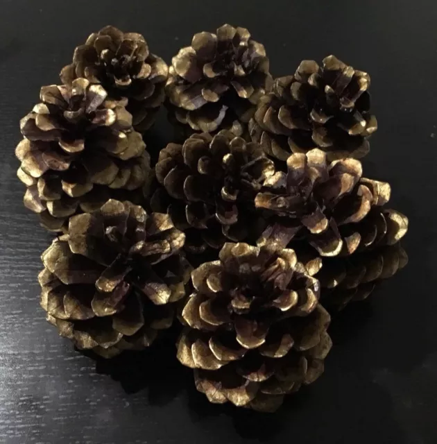 9 PCS Red Cedar And Gold Natural Pine Cones 6-8 Cm ALL SEASONS
