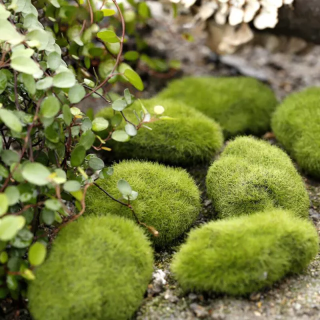 4 piezas Micro Paisaje Artificial Piedra de Hadas Jardín Bonsái Falso Mosso De-EL