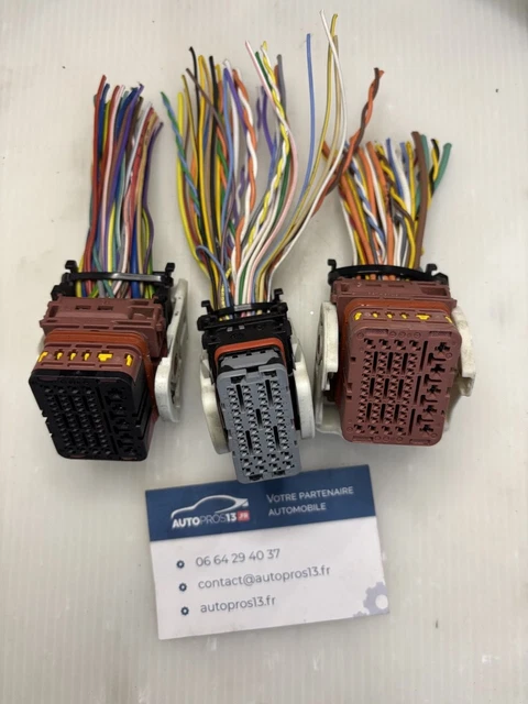 Pistolet Graisse 400g Pompe à Graisse électrique TaskStar - 10000 PSI - 2 Batteries - Tuyau 1m - Capacité 400g Graisseur Sans Fil Batterie