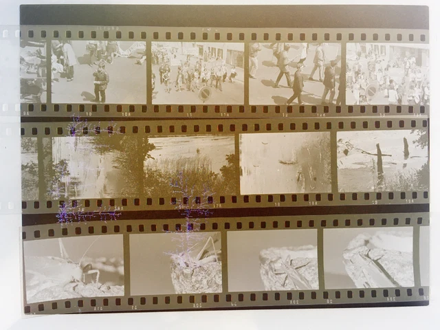 France La Bourboule Photo Stereo Amateur NEGATIF PL46ThN5n16 Plaque