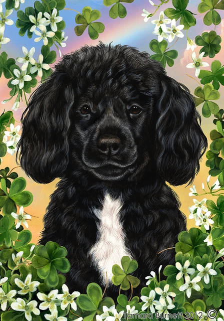 Clover House Flag - Black and White Portuguese Water Dog 31489