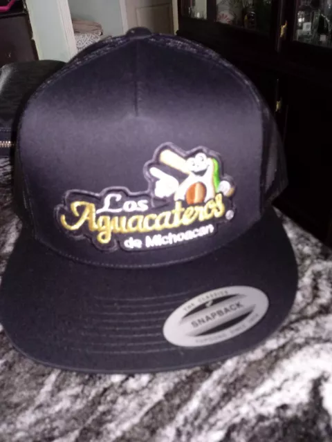 LOS AGUACATEROS DE MICHOACAN baseball hat snackback new $18.00 - PicClick