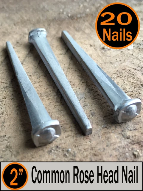 (20) 2" - COMMON ROSE HEAD NAIL  - Antique Vintage Rustic Nails - 6d