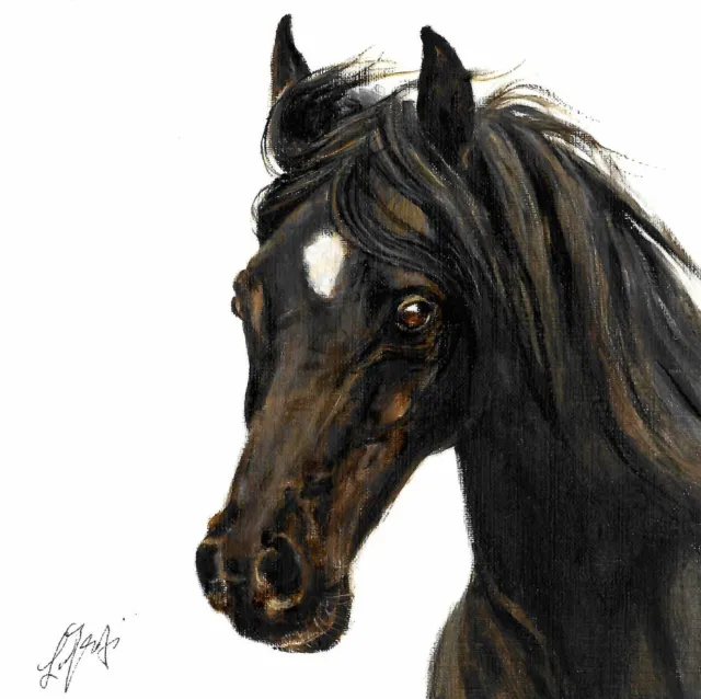 ❈ ORIGINAL Oil Portrait Painting HORSE Artist Signed Pony Mare Mustang Art Black