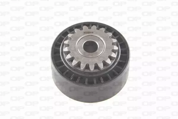 Galet Enrouleur (Courroie D'accessoire) Renault Twingo I 1.2,1.2 16V,Clio Ii 1.2