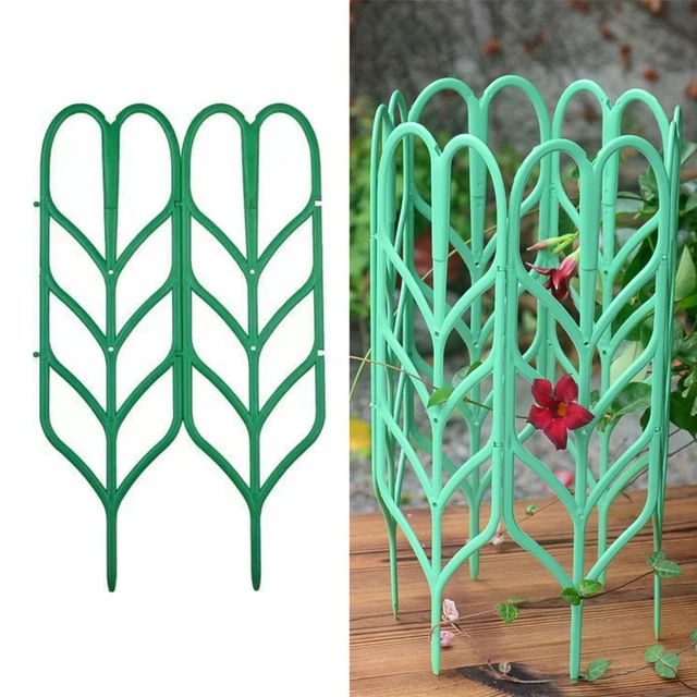 Support pour plantes Tige de fixation Support d'escalade Cadre d'escalade