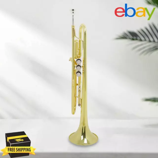 Professional Trumpet Bb B Flat Trumpet Instrument for Student Beginners