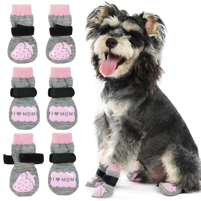 Calze protettive per cani discount