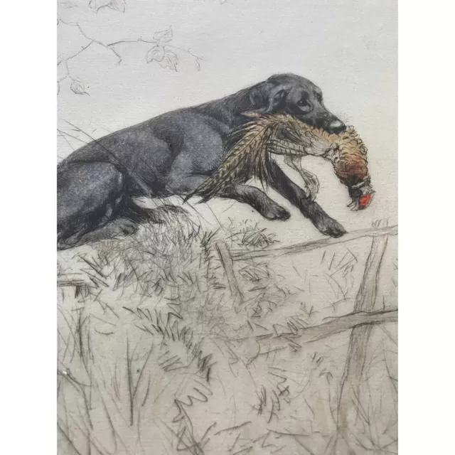 Pair GEORGE VERNON STOKES  Hand Colored Signed Hunting Dog Etchings 3