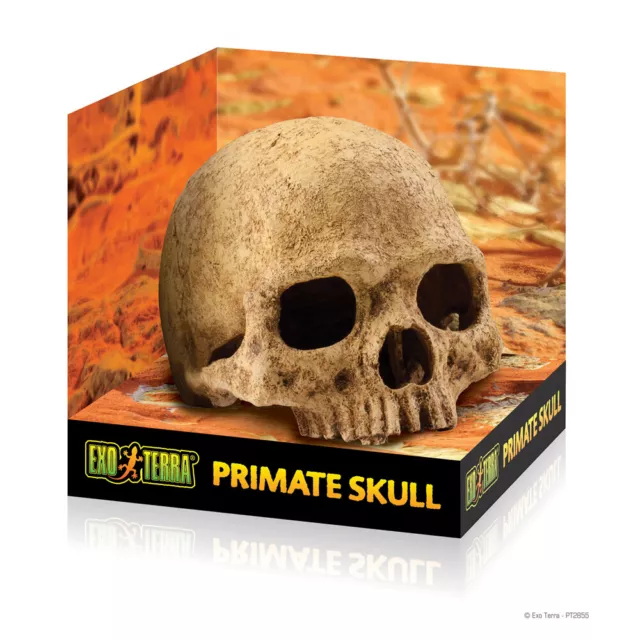 Exo Terra Versteck Primate Skull, UVP 19,99 EUR, NEU