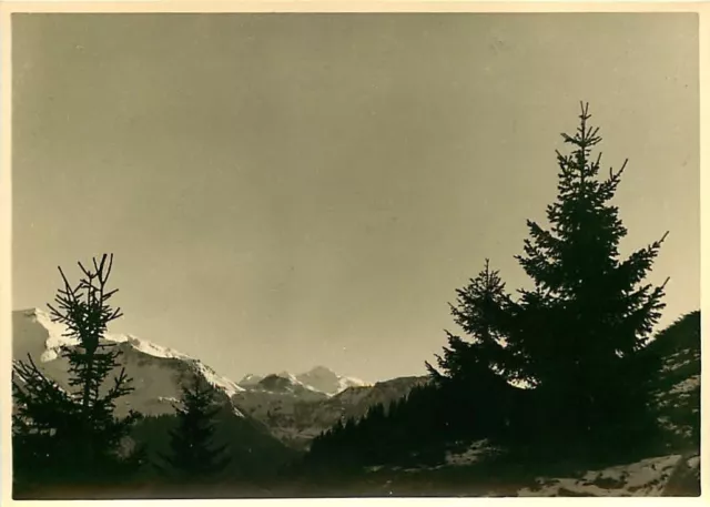 PHOTO 250615 - LES ALPES MORZINE LE PLENEY au font Mt Blanc 1953 - mountain  