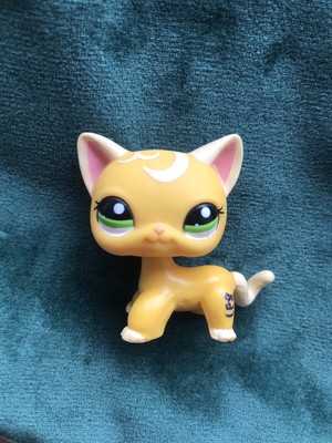 Figurine Petshop Original Chat Cat Europeen Short Hair Noir Yeux Vert Pet Shop Eur 13 00 Picclick Fr