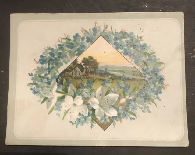 1800’s  VICTORIAN TRADE CARD WOOLSON SPICE LION COFFEE Blue Floral Pastoral