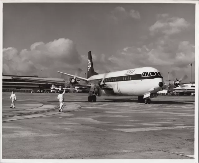 Bea British European Airways Vickers Vanguard Large Original Airline Photo B.e.a