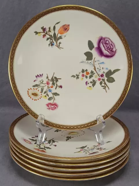 Set of 6 Royal Worcester W/773 Hand Painted Floral Ivory Gold 9 1/8 Inch Plates