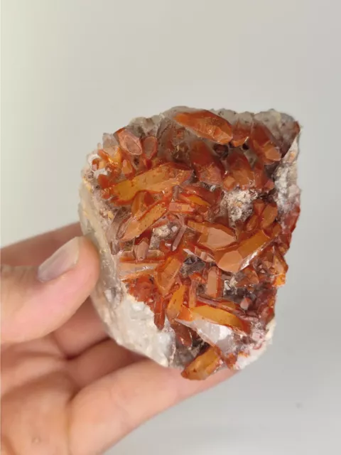 🔥Rote Hämatit Quarz Bergkristall Stufe  - Izizauen Alnif Marokko 🔥