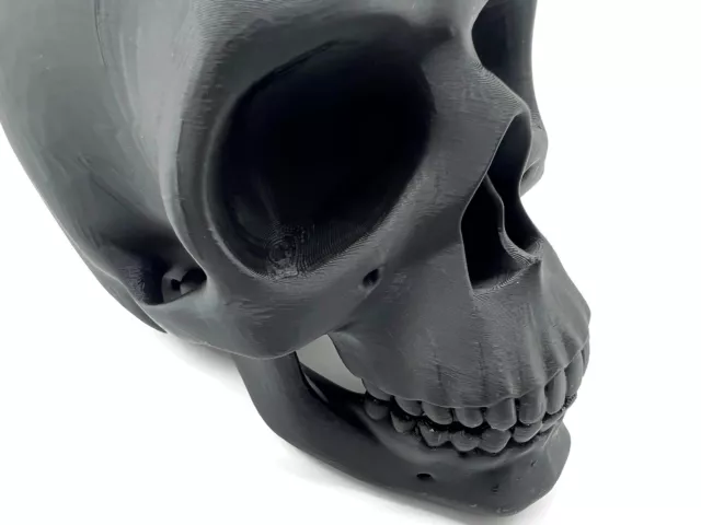 eXODA Totenschädel Skulptur Schädel als Dekoration Skull Totenkopf 3