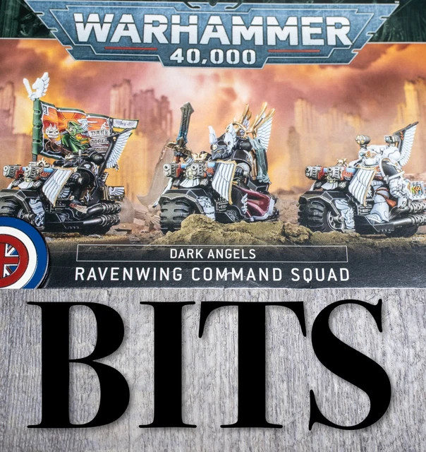 WARHAMMER 40K DARK Angels RAVENWING COMMAND SQUAD Knights APOTHECARY