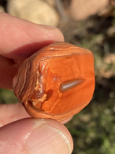 Lake Superior Agate 1.14oz Bright Painter