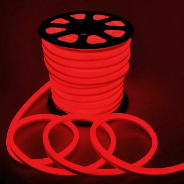 Red LED Neon Flex Rope Light Party Garden Building DIY Xmas Decor Outdoor 220V