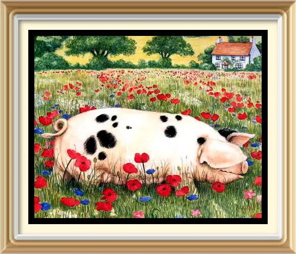 Kunstdruck Landwirtschaft Landschaft SCHWEIN IN EINEM MOHNFELD rotes Mohn