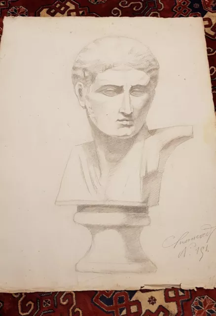 Disegno Carboncino Busto Giovane, Firmato,Xix Secolo