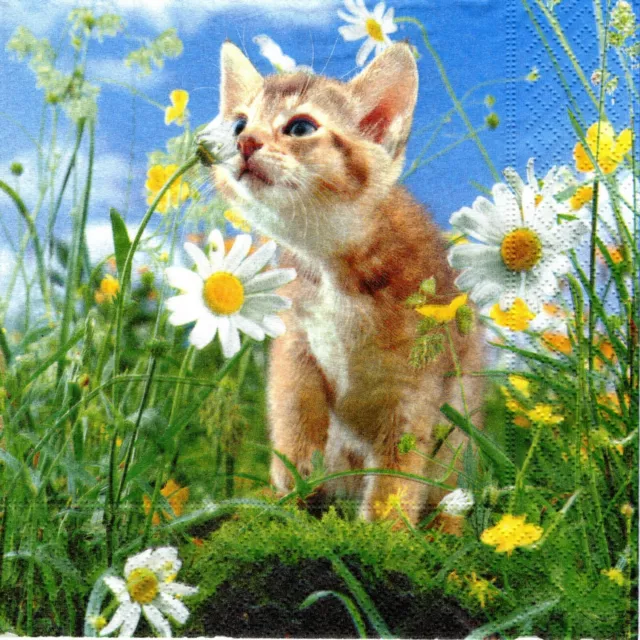 Serviettes En Papier Chat Dans Marguerites. Paper Napkins Cat In Daisy Flowers