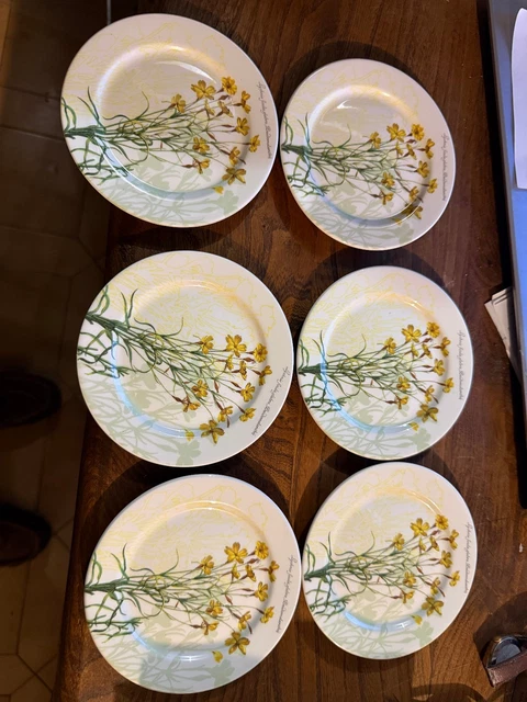Lot1 De 6 Assiettes Plates En Porcelaine ANC Fabrique Royale Limoges D 195 Cm 88817
